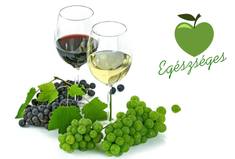 A szőlőtől a borokig – alapok